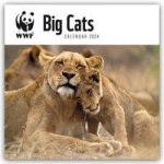 WWF Big Cats - Raubkatzen 2024