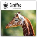 WWF Giraffes - Giraffen 2024