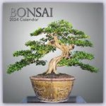 Bonsai 2024 - 16-Monatskalender