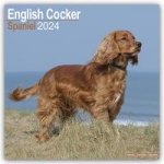 English Cocker Spaniel - Englische Cockerspaniels 2024 - 16-Monatskalender