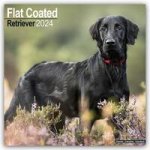 Flat-Coated Retriever 2024 - 16-Monatskalender