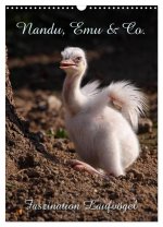 Nandu, Emu & Co. (Wandkalender 2024 DIN A3 hoch), CALVENDO Monatskalender