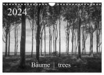 Bäume trees 2024 (Wandkalender 2024 DIN A4 quer), CALVENDO Monatskalender
