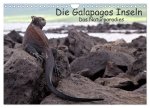 Die Galapagos Inseln - Das Naturparadies (Wandkalender 2024 DIN A4 quer), CALVENDO Monatskalender