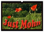 Just Mohn (Wandkalender 2024 DIN A3 quer), CALVENDO Monatskalender