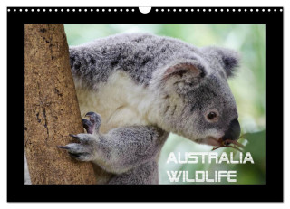Australia Wildlife (Wandkalender 2024 DIN A3 quer), CALVENDO Monatskalender
