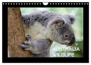 Australia Wildlife (Wandkalender 2024 DIN A4 quer), CALVENDO Monatskalender