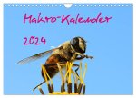 Makro-Kalender 2024 (Wandkalender 2024 DIN A4 quer), CALVENDO Monatskalender