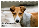Straßenhunde (Wandkalender 2024 DIN A3 quer), CALVENDO Monatskalender