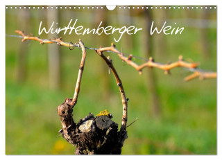 Württemberger Wein 2024 (Wandkalender 2024 DIN A3 quer), CALVENDO Monatskalender