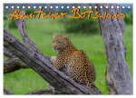 Abenteuer Botswana Afrika - Adventure Botswana (Tischkalender 2024 DIN A5 quer), CALVENDO Monatskalender