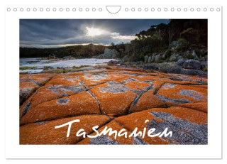 Tasmanien (Wandkalender 2024 DIN A4 quer), CALVENDO Monatskalender