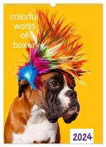 colorful world of boxer 2024 (Wandkalender 2024 DIN A3 hoch), CALVENDO Monatskalender