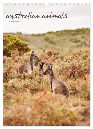 australian animals (Wandkalender 2024 DIN A3 hoch), CALVENDO Monatskalender