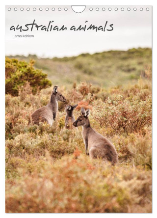 australian animals (Wandkalender 2024 DIN A4 hoch), CALVENDO Monatskalender