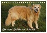 Golden Retriever Power (Tischkalender 2024 DIN A5 quer), CALVENDO Monatskalender