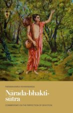 N?rada-bhakti-s?tra: Commentary on the Perfection of Devotion