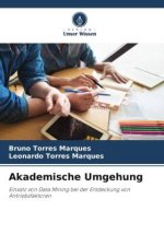 Akademische Umgehung