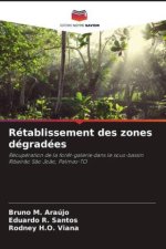 Rétablissement des zones dégradées