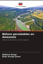 Bétons perméables en Amazonie