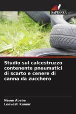 Studio sul calcestruzzo contenente pneumatici di scarto e cenere di canna da zucchero