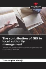 The contribution of GIS to local authority management