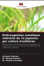 Embryogen?se somatique indirecte du riz Japonica par culture d'anth?res