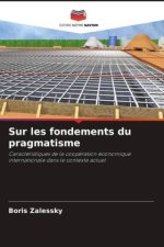 Sur les fondements du pragmatisme