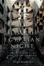 Loved Egyptian Night: Investigations of the Arab Spring