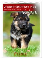 Deutscher Schäferhund - Welpen, Planer (Wandkalender 2024 DIN A4 hoch), CALVENDO Monatskalender