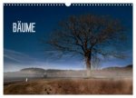 Bäume (Wandkalender 2024 DIN A3 quer), CALVENDO Monatskalender