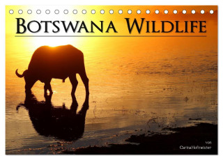Botswana Wildlife (Tischkalender 2024 DIN A5 quer), CALVENDO Monatskalender