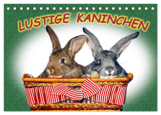 Lustige Kaninchen (Tischkalender 2024 DIN A5 quer), CALVENDO Monatskalender