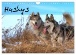 Huskys (Wandkalender 2024 DIN A4 quer), CALVENDO Monatskalender