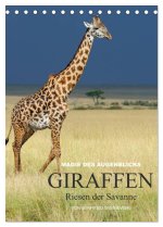 Magie des Augenblicks - Giraffen - Riesen der Savanne (Tischkalender 2024 DIN A5 hoch), CALVENDO Monatskalender