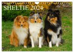 Sheltie 2024 (Wandkalender 2024 DIN A4 quer), CALVENDO Monatskalender