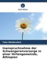 Inanspruchnahme der Schwangerenvorsorge in einer Hirtengemeinde, Äthiopien