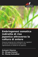 Embriogenesi somatica indiretta di riso Japonica attraverso la coltura di antere