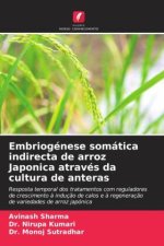 Embriogénese somática indirecta de arroz Japonica através da cultura de anteras