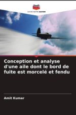 Conception et analyse d'une aile dont le bord de fuite est morcelé et fendu