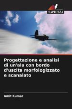 Progettazione e analisi di un'ala con bordo d'uscita morfologizzato e scanalato