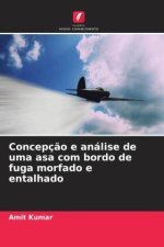 Concepç?o e análise de uma asa com bordo de fuga morfado e entalhado