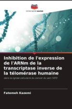 Inhibition de l'expression de l'ARNm de la transcriptase inverse de la télomérase humaine