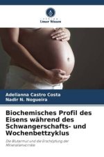 Biochemisches Profil des Eisens während des Schwangerschafts- und Wochenbettzyklus