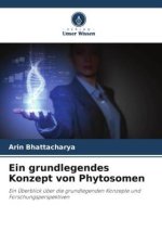 Ein grundlegendes Konzept von Phytosomen