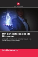 Um conceito básico de fitossoma