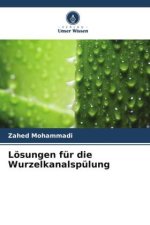 Lösungen für die Wurzelkanalspülung