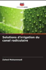 Solutions d'irrigation du canal radiculaire
