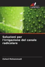 Soluzioni per l'irrigazione del canale radicolare