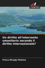 Un diritto all'intervento umanitario secondo il diritto internazionale?